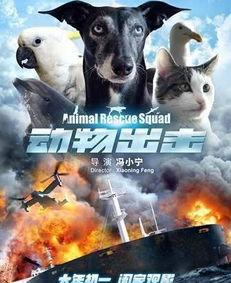 动物出击在线观看,奇趣动物大冒险在线观看攻略  第2张