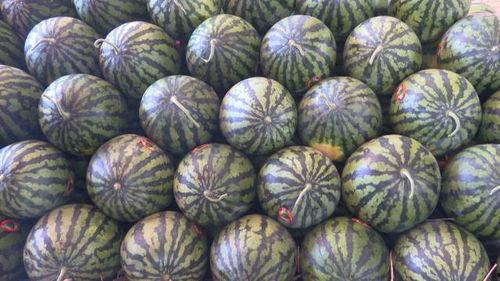 徐州吃瓜网红有哪些人啊,徐州网红吃瓜达人盘点  第2张