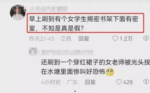 江西男孩事件爆料最新,真相大白，正义终将到来